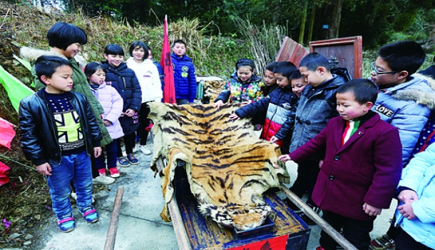虎皮巡街闹元宵  一场绵延百年的民俗“盛宴”