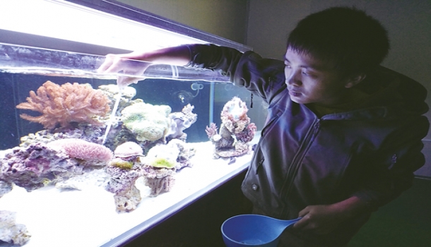 最美休闲乡村有片“珊瑚海”