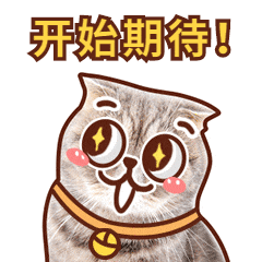 重磅！福建全省媒体集结
