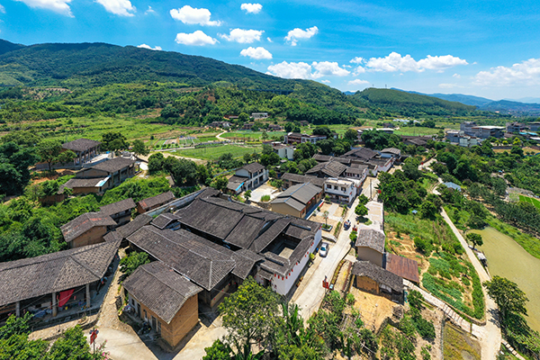 林柄：在青山绿水间蝶变