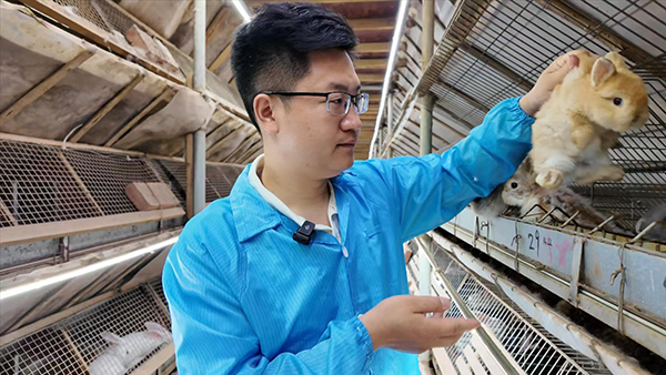 “兔”破传统 链动振兴