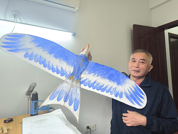 闽侯溜“鹰”达人的逐风梦