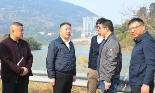 县长检查推进乡村振兴工作