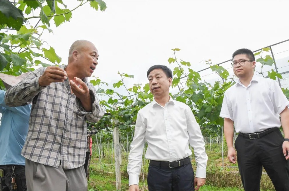县委书记赴洋里调研农业产业项目和乡村治理工作
