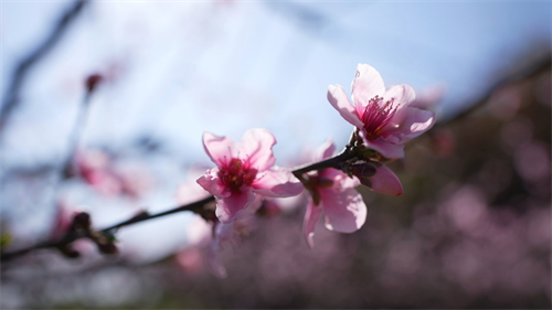 看闽侯丨想看“花花世界”？安排！