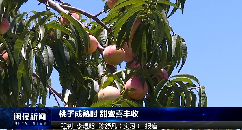 2024年7月30日闽侯新闻