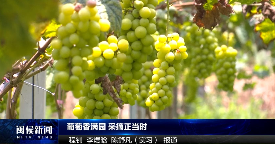 2024年8月6日闽侯新闻