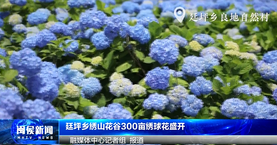 2025年6月4日闽侯新闻