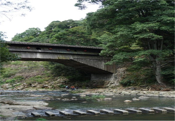 青春助力乡村振兴  福农学子筑梦廷坪