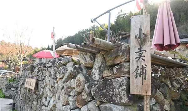 青春助力乡村振兴  福农学子筑梦廷坪