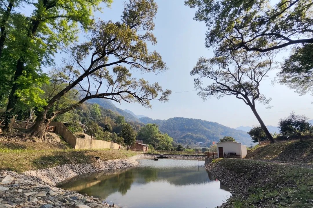 “隐于山，藏于野”，沉浸式体验→