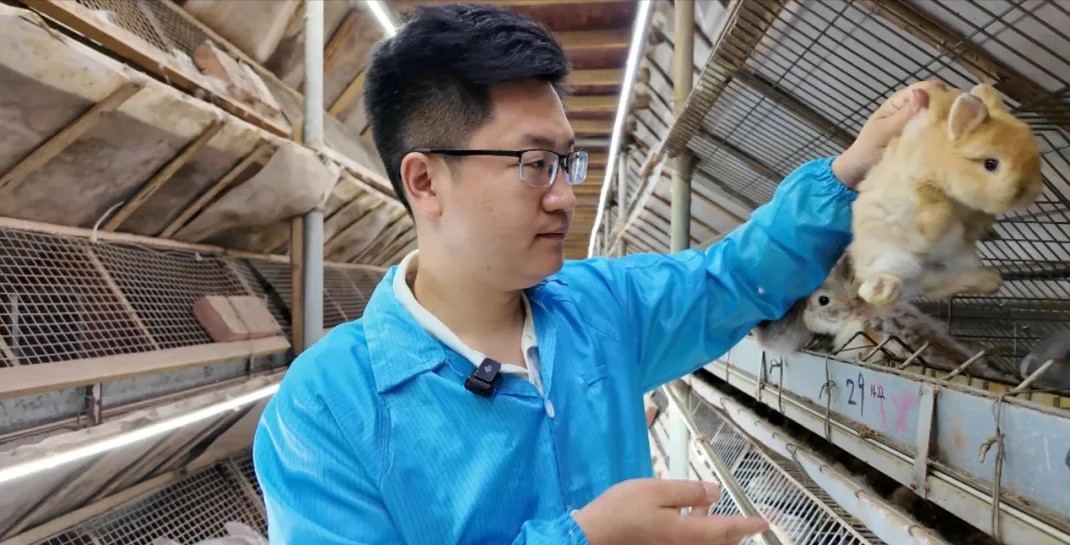 闽侯有个“兔王国”，数量多品种全，每只都可爱！